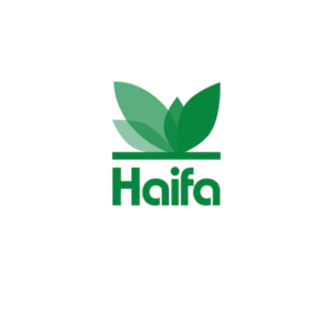haifa